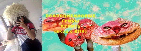 мет Бородино