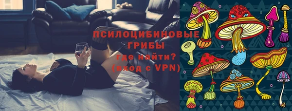 СК Бронницы