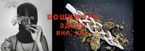 СК Бронницы