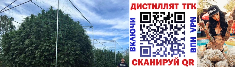 цены   Волчанск  Дистиллят ТГК THC oil 